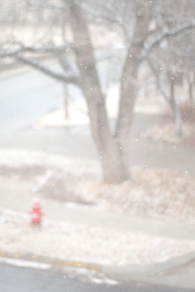 winter-scene snow from my living room window