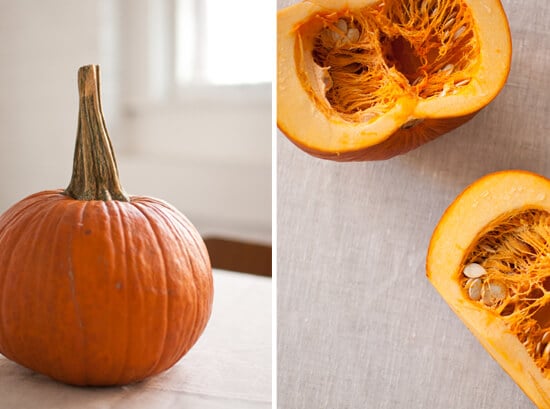 pie pumpkin pie pumpkin