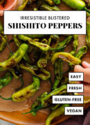 irresistible blistered shishito peppers