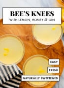 bee's knees cocktail