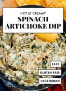 hot creamy spinach artichoke dip recipe
