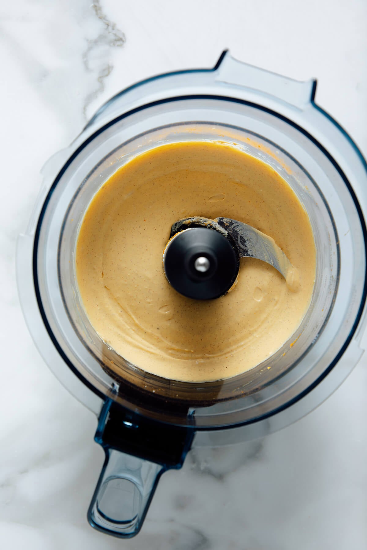 pumpkin goat cheese in food processor