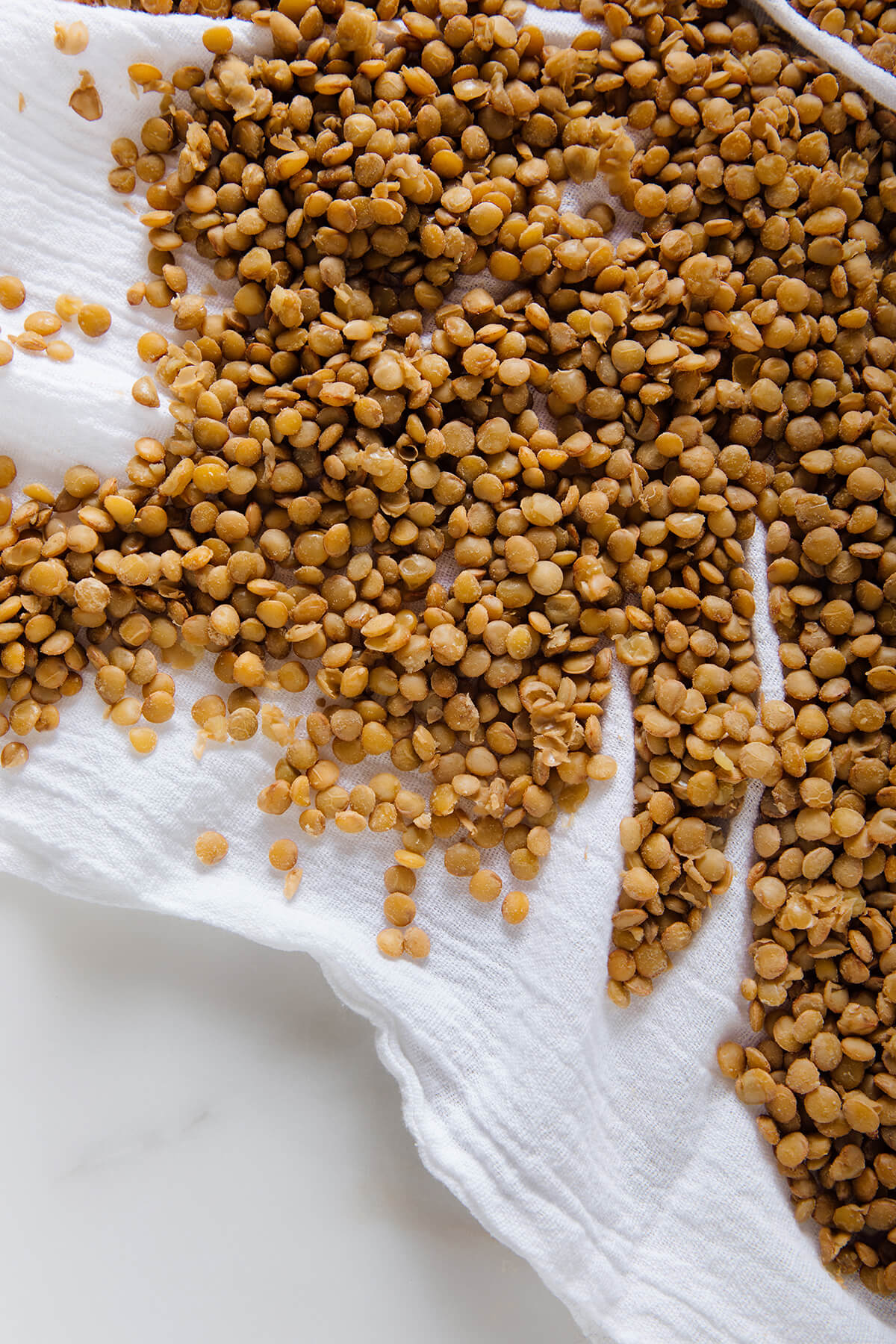 towel-dried lentils